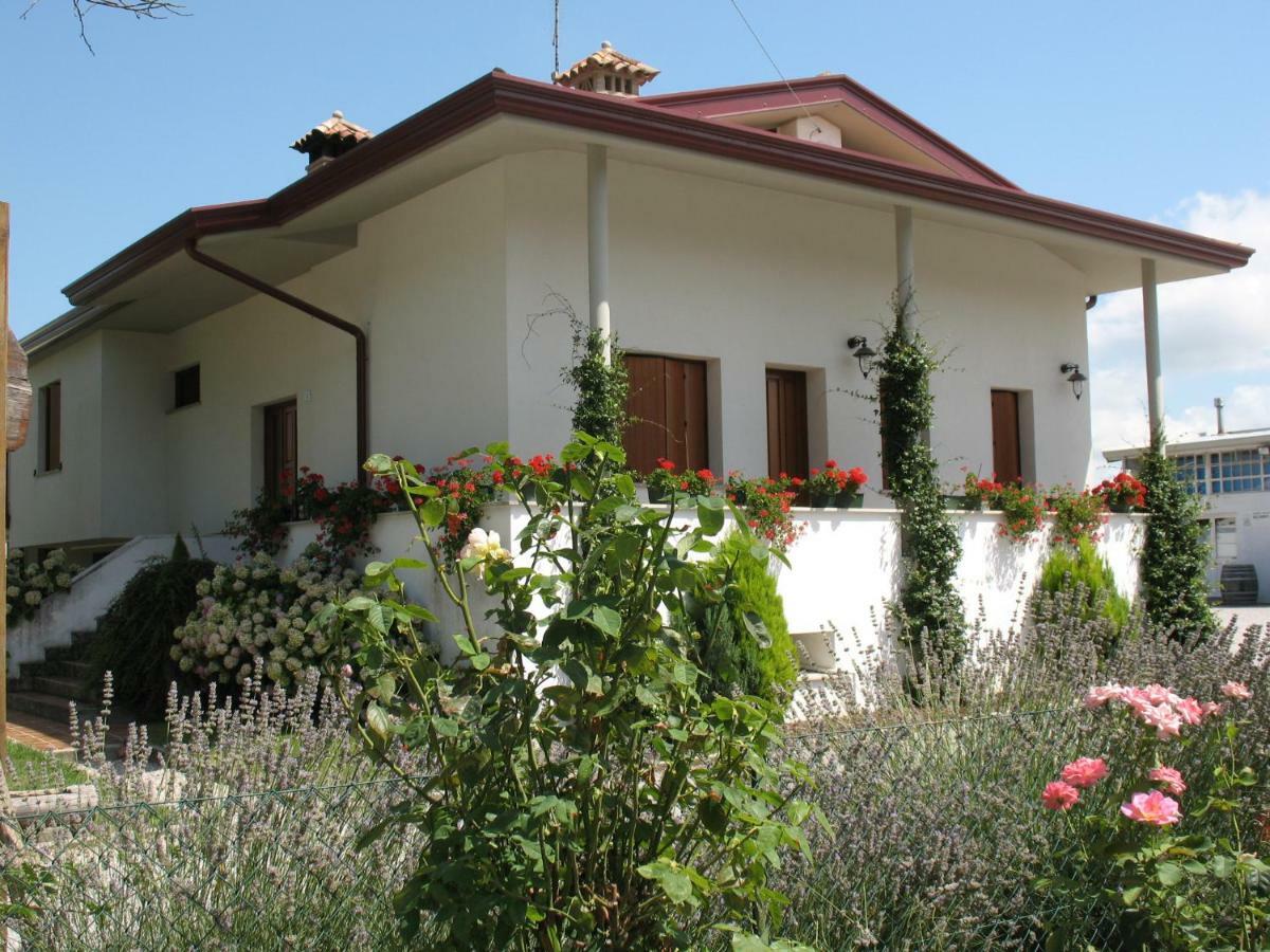 Agriturismo Ballaminut Terzo d' Aquileia エクステリア 写真