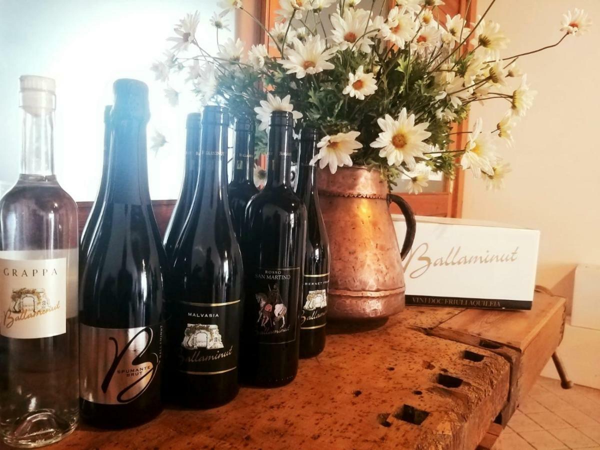 Agriturismo Ballaminut Terzo d' Aquileia エクステリア 写真