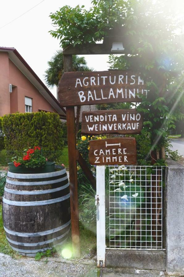 Agriturismo Ballaminut Terzo d' Aquileia エクステリア 写真